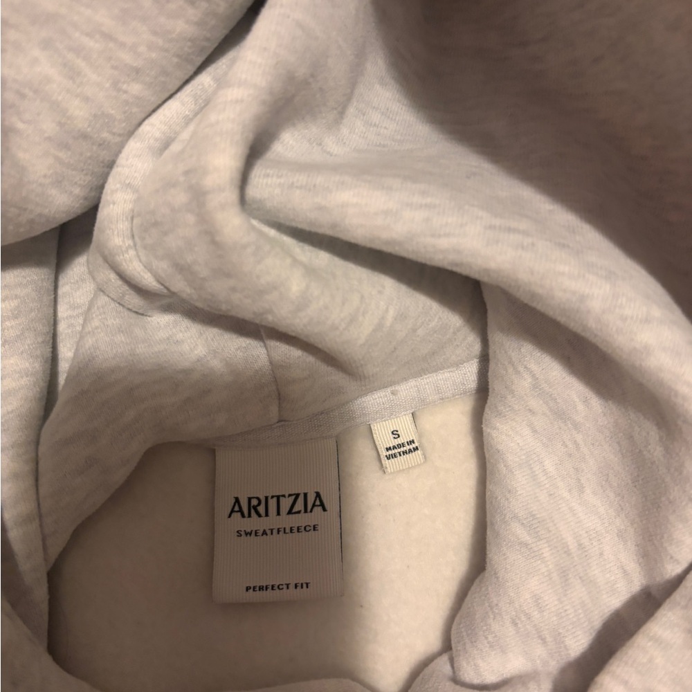 Aritzia Sweatfleece Perfect Fit Hoodie in Light Gray